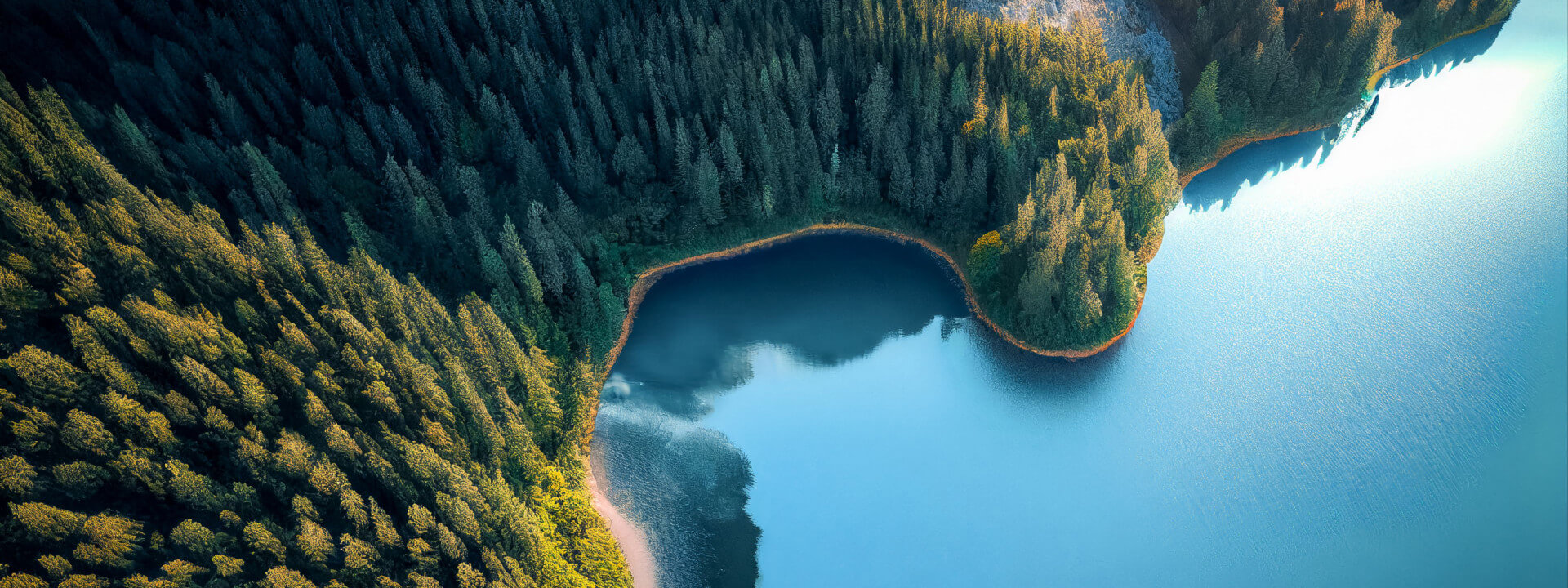 Test event for Zapier cover image